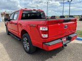 Used 2023 Ford F150 XL w/ STX Appearance Package image 5