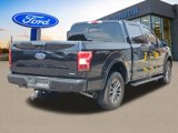 Used 2019 Ford F150 XLT w/ Equipment Group 302A Luxury image 3