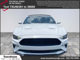 Used 2019 Ford Mustang Premium w/ Equipment Group 201A image 2
