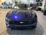 Used 2019 Ford Mustang Convertible w/ Equipment Group 101A image 2