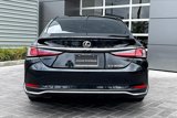 Used 2023 Lexus ES 300h w/ Premium Package image 4