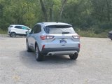 Used 2022 Ford Escape SEL image 3