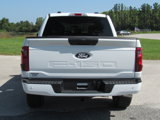New 2025 Ford F150 STX image 4
