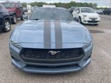 Used 2024 Ford Mustang Premium image 2