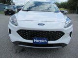 Used 2022 Ford Escape SE w/ Convenience Package image 2