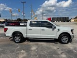 Certified 2024 Ford F150 XLT w/ Equipment Group 302A MID image 2