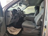 New 2025 Ford F150 XLT w/ Equipment Group 301A Standard image 3