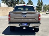 Certified 2019 Ford F150 XLT w/ Equipment Group 302A Luxury image 3