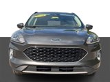 Used 2020 Ford Escape SEL image 2