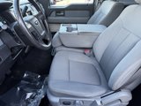 Used 2013 Ford F150 XLT w/ XLT Chrome Pkg image 3