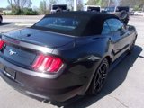 Used 2022 Ford Mustang Premium image 6