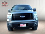 Used 2014 Ford F150 STX w/ Equipment Group 201A Mid image 2
