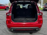 Used 2023 Ford Escape ST-Line w/ Equipment Group 301A image 5