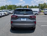 Used 2023 Ford Escape ST-Line w/ Tech Pack #1 image 5