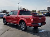 Used 2020 Ford F150 XLT w/ Equipment Group 302A Luxury image 4