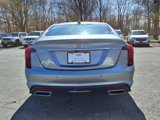 Certified 2024 Cadillac CT5 Premium Luxury w/ Parking Package image 4
