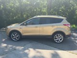Used 2014 Ford Escape Titanium w/ Equipment Group 401A image 6