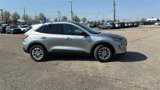 Certified 2022 Ford Escape SE w/ Cold Weather Package image 3