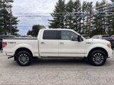 Used 2009 Ford F150 Platinum image 4