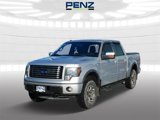 Used 2011 Ford F150 FX4 image 3