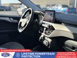 Used 2021 Ford Escape SE w/ SE Sport Appearance Package image 3