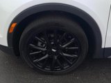 Used 2022 Cadillac XT4 Premium Luxury w/ Technology Package image 5