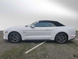 Used 2019 Ford Mustang GT image 2