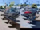 Used 2017 Nissan Rogue SL w/ SL Premium Package image 5