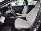 New 2025 Hyundai Elantra Limited image 4
