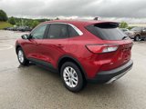 Used 2022 Ford Escape SE w/ Convenience Package image 5