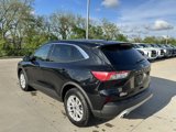 Used 2020 Ford Escape SE image 3