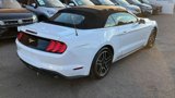 Used 2023 Ford Mustang Premium image 4