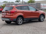 Used 2019 Ford Escape SEL image 5