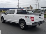 Used 2019 Ford F150 XLT image 4