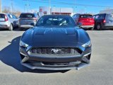 Used 2022 Ford Mustang Premium image 2
