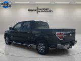 Used 2012 Ford F150 XLT w/ XLT Chrome Pkg image 5