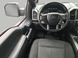 Used 2019 Ford F150 XLT w/ Equipment Group 302A Luxury image 4