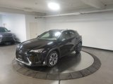 Used 2020 Lexus UX 250h w/ Premium Package image 3