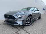 Certified 2022 Ford Mustang Premium image 2