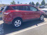 Used 2016 Ford Escape SE w/ Equipment Group 201A image 2