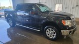 Used 2013 Ford F150 XLT w/ Luxury Equipment Group image 3