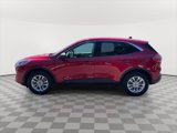 Used 2022 Ford Escape SE w/ Convenience Package image 4