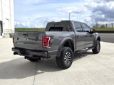 Used 2018 Ford F150 Raptor w/ Equipment Group 802A Luxury image 5
