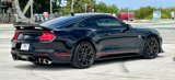 Used 2021 Ford Mustang Mach 1 w/ Mach 1 Handling Package image 6