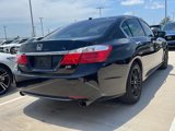 Used 2013 Honda Accord EX-L image 4