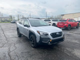 Used 2025 Subaru Outback Wilderness image 3