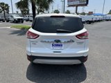 Used 2014 Ford Escape Titanium image 5