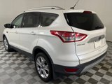 Used 2014 Ford Escape Titanium image 5