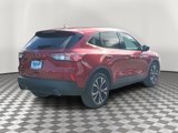 Certified 2022 Ford Escape SE w/ SE Sport Appearance Package image 6