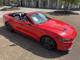 Used 2022 Ford Mustang Premium image 4